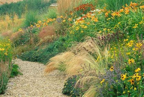 Natural and anthropogenic fire, as well as grazing by large mammals (primarily bison), were historically agents of periodic disturbance, which regulates tree encroachment, recycles nutrients to the soil. A Prairie Planting Idea with Helenium, Rudbeckia and ...