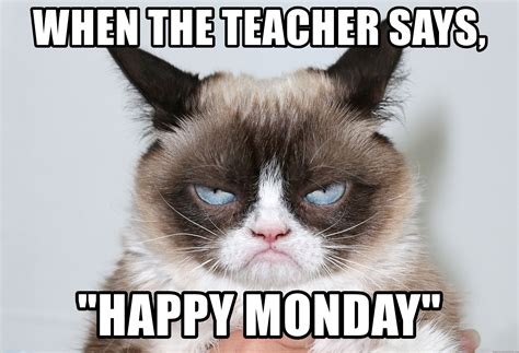 Happy international cat day, everyone! Me As Grumpy Cat - When The teacher says, "Happy Monday ...