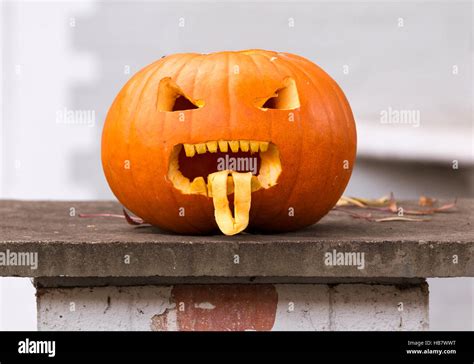 Halloween Pumpkin Sticking Out Its Tongue Stock Photo Alamy
