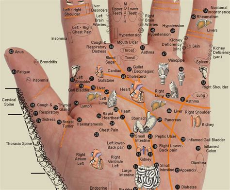 Acupressure Points On Hands Chart