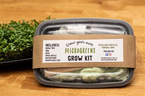 Microgreen Growing Kit Etsy