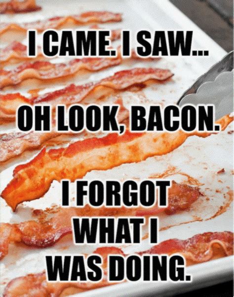 Bacon Meme Of The Week Bacons Rebellion