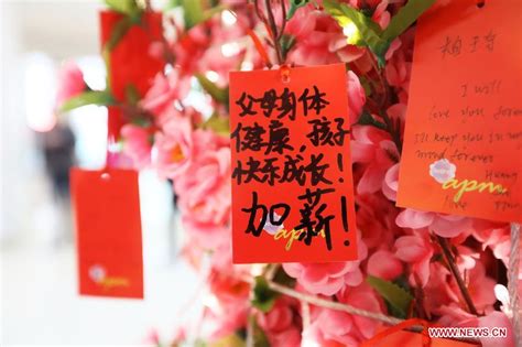 Kumquat trees are a very popular plant displayed. Lunar New Year wishes1|chinadaily.com.cn