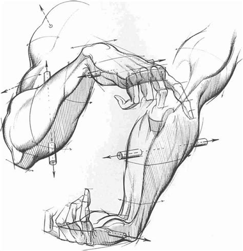 Been really busy with exams and stuff. Forms And Structures - Drawing Hands - Joshua Nava Arts