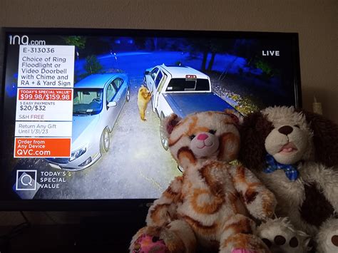 Watching QVC right now : r/buildabear