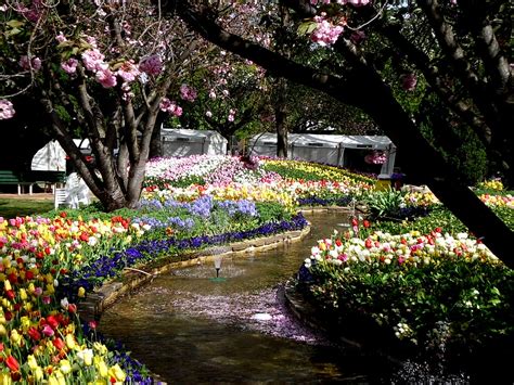 Bowral Tulip Festival Flickr