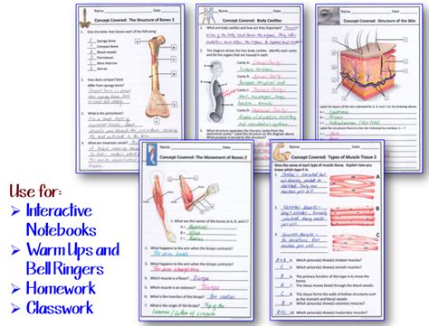 Blog Post Interactive Notebook Pages For The