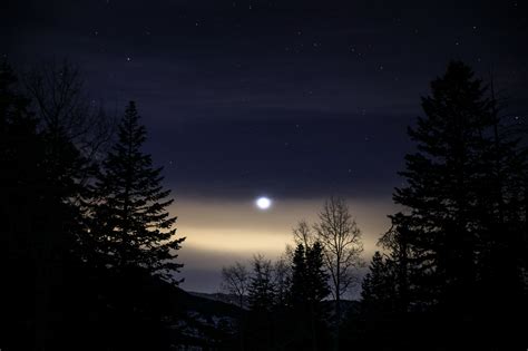 Free Images Tree Forest Silhouette Light Sky Night Star Dawn