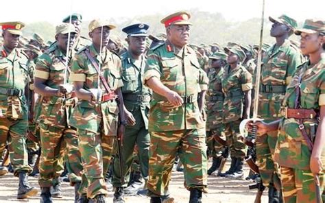 Zambian Defense Force Armed Forces Infantry Troops