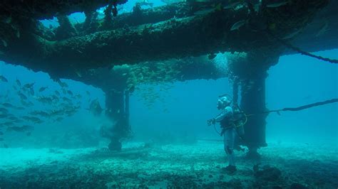 Enjoy exclusive amazon originals as well as popular movies and tv shows. The capstone of spaceflight training happens under the sea ...