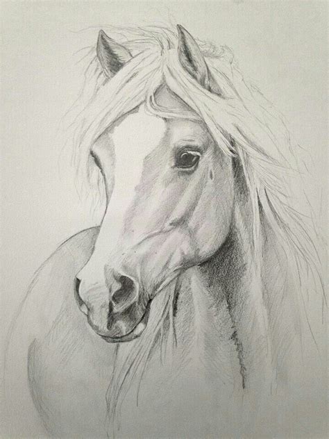 Horse Art Drawing Horse Sketch Horse Drawings Horse Painting
