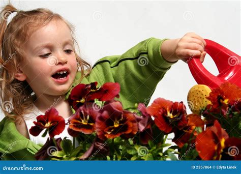 Little Gardener Stock Photo Image Of Girl Season Leaves 2357864