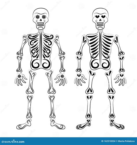 The Stylized Skeleton Is Drawn With A Black Line From The Ornament