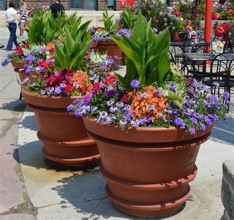10 Large Container Gardening Ideas Most Awesome And Stunning