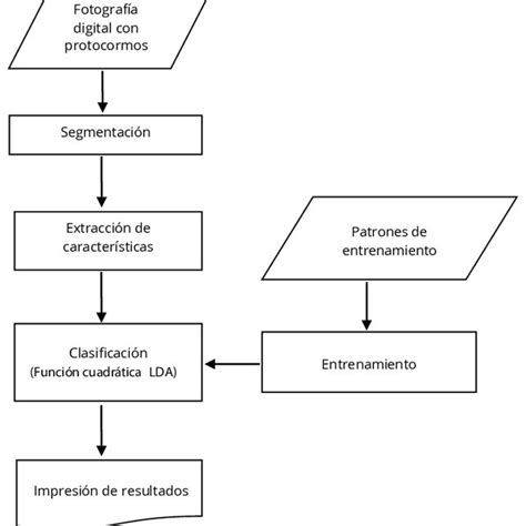 Diagrama De Flujo Del Proceso De Traduccion De Materiales Download Images
