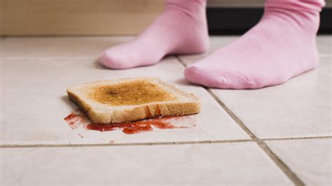 Drop A Piece Of Food On The Floor Safe To Eat Medical Information