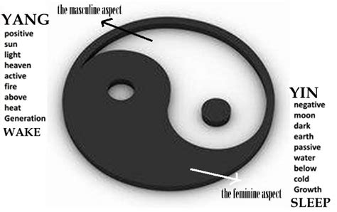 Well Known Powerful Yin Yang Symbol Dates Back To Ancient China