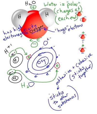 Color all oxygen redall hydrogen bluetwo electrons yellow. Organic Molecules - Mel Burgess at CALC