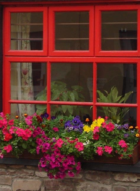 Find the best selling flower & plant pots, baskets & window boxes on ebay. Window box Ireland. Tons of moisture so they do really ...