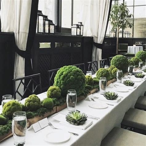 Find preserved moss bulk, moss planters, moss grass, moss balls, moss fillers, moss centerpiece, moss table runner, moss table decor, decorative moss for planters. Pin by Z on Table settings | Moss centerpieces, Moss ...