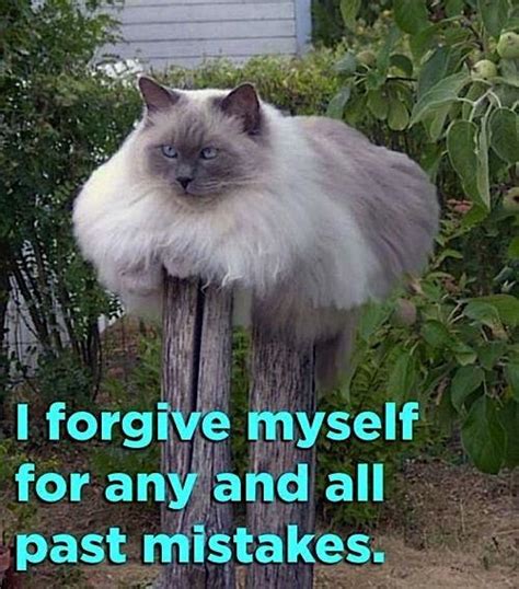 Ready for party funny dog image. Animal Quotes Images (469 Quotes) - Page 41 ...