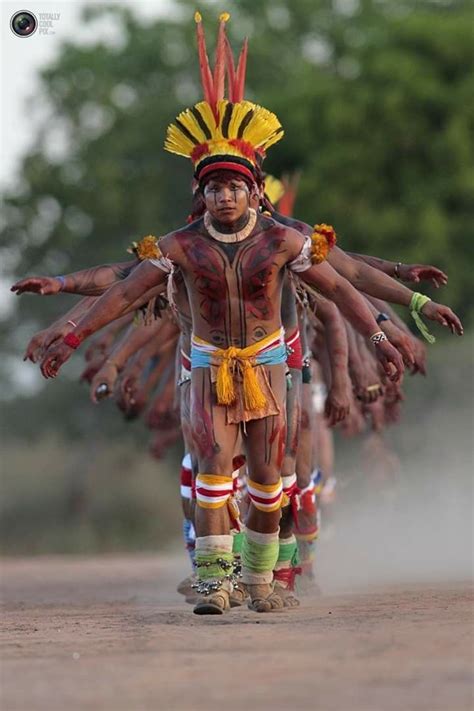 Amazonia Arte indígena brasileira Índio brasil Povos indígenas
