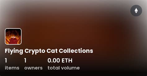Flying Crypto Cat Collections Collection Opensea
