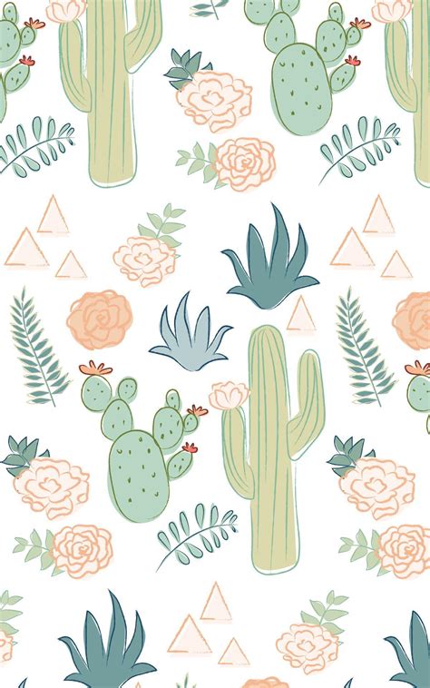 Cute Cactus Wallpapers Top Free Cute Cactus Backgrounds Wallpaperaccess