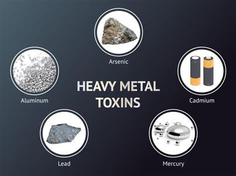 The Daily Impacts Of Heavy Metal Toxicity On You And Your Childrens