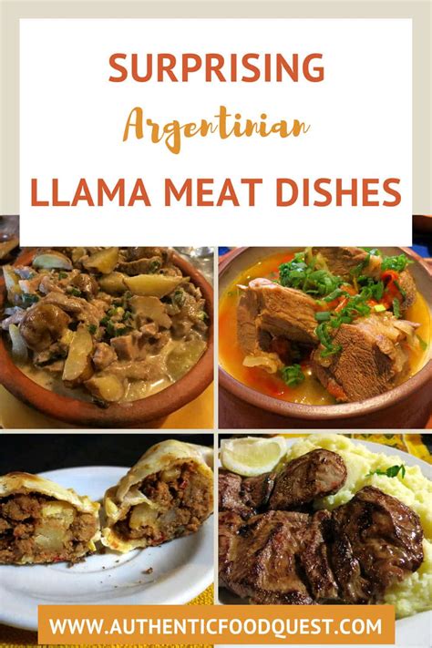 Llama Meat 5 Authentic Dishes From The Andes That Will Surprise You