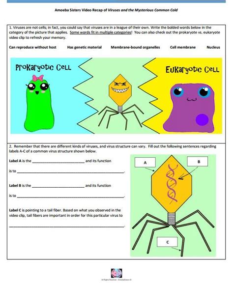 Pdf download amoeba sisters pedigree worksheet answer key pdf. Virus handout made by the Amoeba Sisters. Click to visit ...