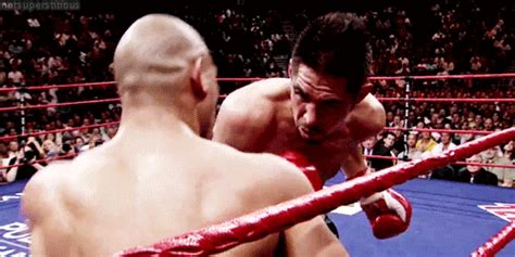 Other gif subreddits you will enjoy. Boxing GIF - Find & Share on GIPHY