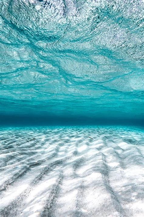 Underwater Photography Underwater Photography Ocean Art Water Art
