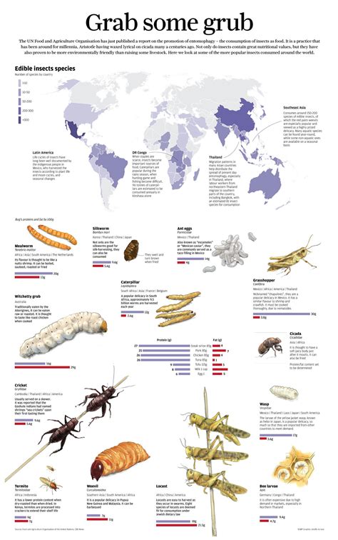 Edible Insects And Bugs And Their Nutritional Values Grab Some Grub