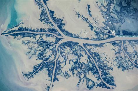Satellite View Of Mississippi River Delta Louisiana Usa Poster Print By