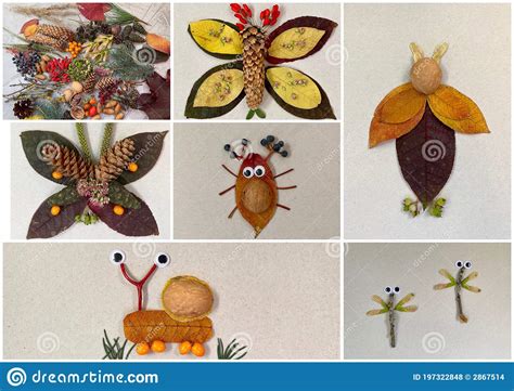 Collage Of 7 Photos Children`s Craft Insects Autumn Crafts Made Of