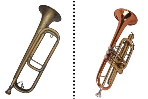 The Differences Between The Trumpet And The Bugle Including Pictures