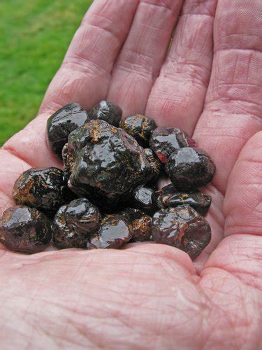 List Of Rocks Minerals And Gemstones Found In Idaho Rock Seeker