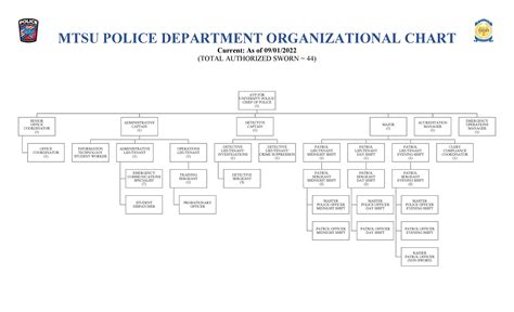 Organizational Chart Middle Tennessee State University