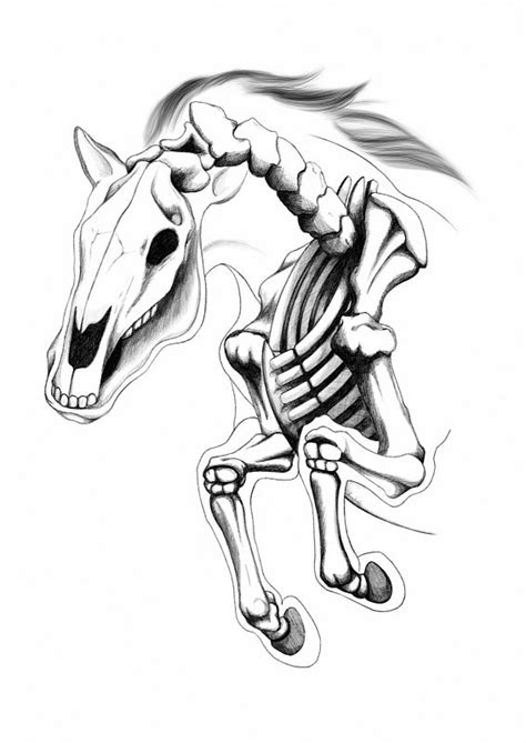 Skeleton Horse Hanna Gustafsson