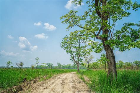 Hutan hujan tropis sumatera warisan dunia terancam bahaya regional liputan6 com 6 ciri ciri hutan hujan tropis di indonesia dan persebarannya ilmugeografi com Gambar Pemandangan Hujan - Gambar Pemandangan