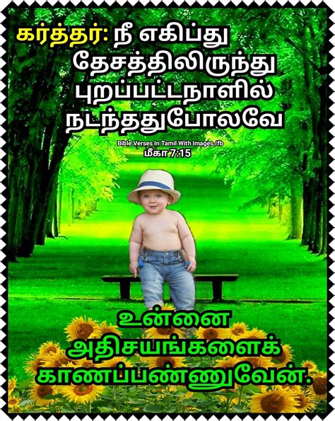 Pin On Bible Verses With Images In Tamil