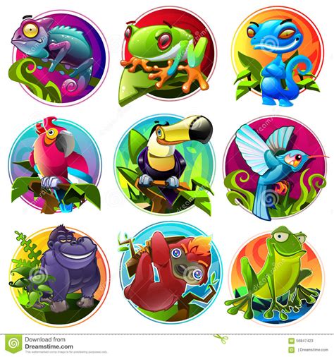 Cartoon Tropical Animals Stock Vector Illustration Of Collection