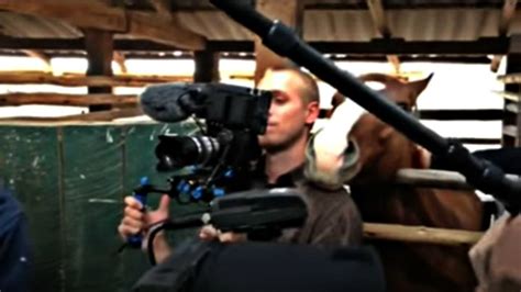 Maybe you would like to learn more about one of these? Cameraman Focuses On His Job But The Funny Horse Keeps ...