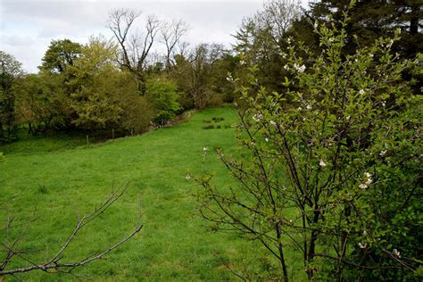 Cranny Townland © Kenneth Allen Cc By Sa20 Geograph Britain And