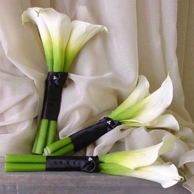 See more ideas about wedding flowers, simple wedding flowers, wedding. The Happy Married Couple: Simple Wedding Flowers