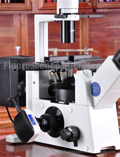 Fluorescence Microscopes Olympus Ix51 Inverted Fluorescence And Phase