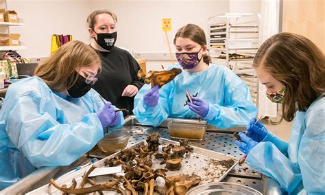 Western Carolina University Forensic Anthropology Program Expands