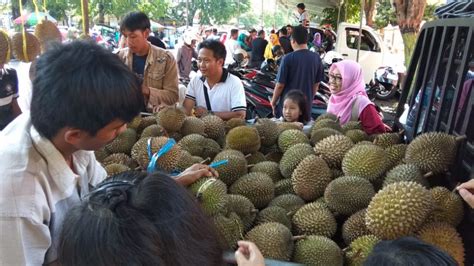 Gelaran “kenduri Durian” Durian Lokal Probolinggo Diserbu Pengunjung