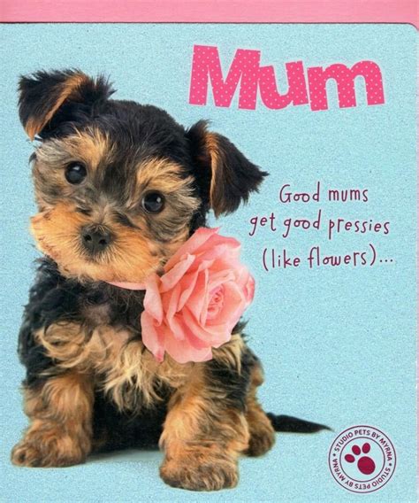 Mothers Day Cards Dog Cute Puppy Mum From Both Of Us Mothers Day